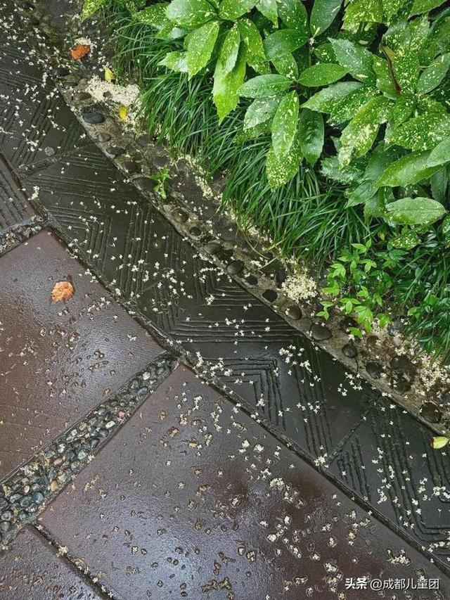 新都，被低估的好地方