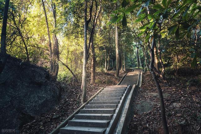 我在广州发现了个宝藏徒步地：龙头山森林公园轻徒步小记