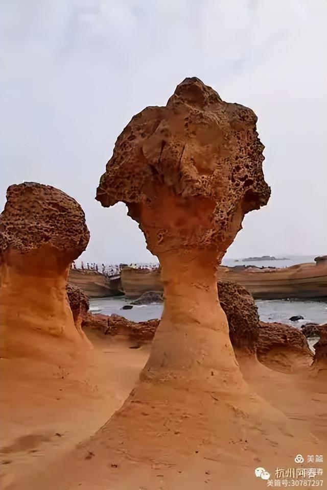 宝岛台湾 之 野柳