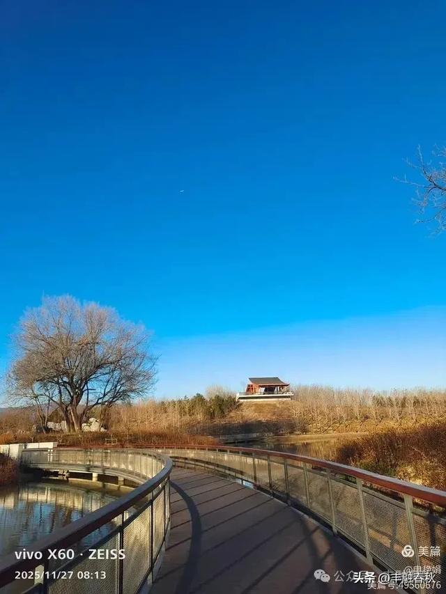 初冬北京玉河湿地公园游记|申艳娟