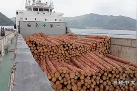 日本圆木10月出口增加37％，对中国增41%图片