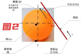 秒懂！乒乓弧圈球技术原理！如何练好孤圈技术？赢球涨球不是梦。图片