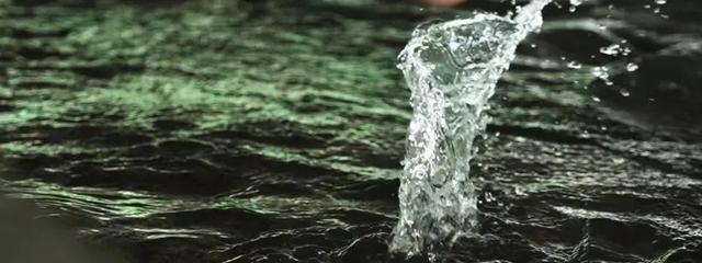 最快30分钟!河滩玩水、捉鱼虾、划竹筏…没有门票!
