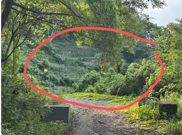 反转？氢氟酸夺命后续：家属掩盖事实，涂某并非散步，责任咋划分