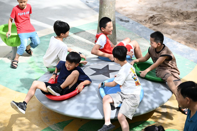 龙峰塔下，聆听龙华三十余载步履与回响