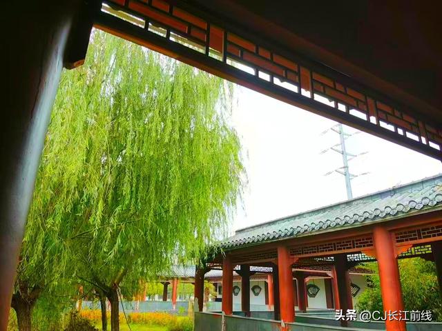 河南淮滨：秋冬韵味来到锦复园