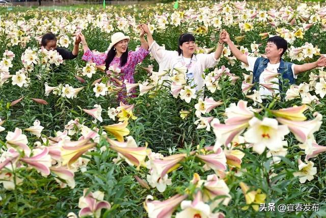 全国百强！宜春一地入选！