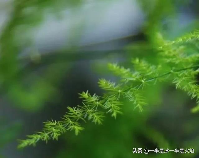 随笔:大暑,且与夏安,且待秋光
