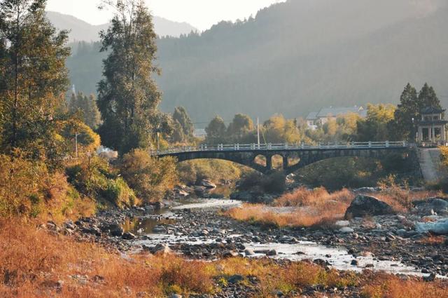 浙江反向旅游！全网没啥攻略，但却好吃到想安利给所有人