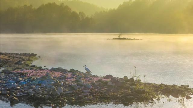 天空之镜，奇墅之秋 | 皖美冬日 | 第十五届安徽国际文化旅游节