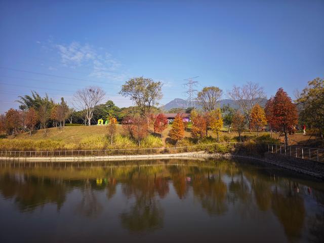 西丽湖绿道骑行随拍