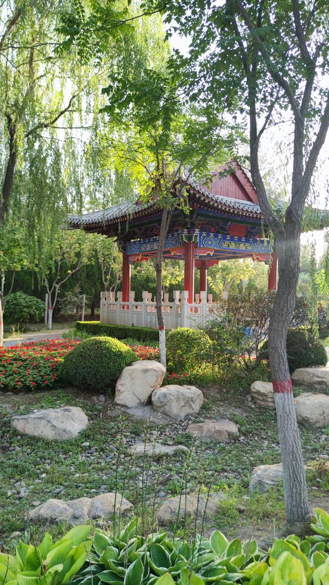 银川花博园真的好大，好大，是我见过的最大的花园