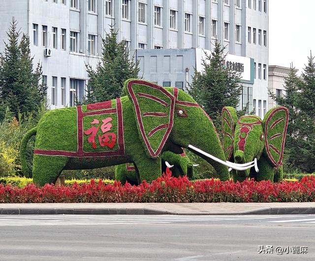 2025 我的寻秋之旅 D3 铁力—庆安—海伦