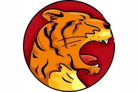 生肖虎出生在这6个月份，属于后福命！一生先吃苦，后享福！图片