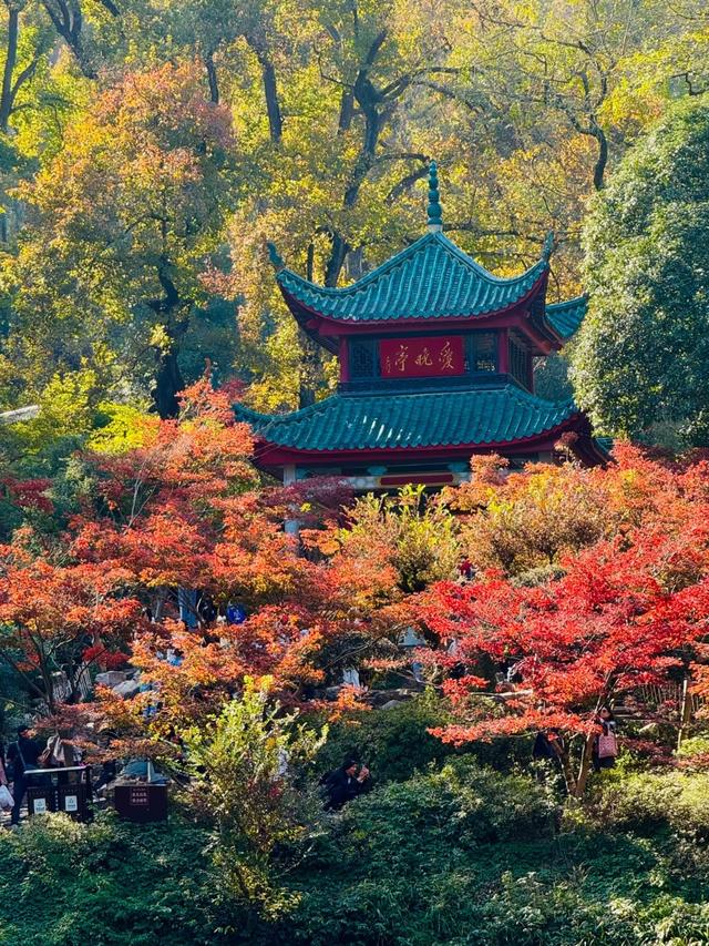 广州人，刚从湖南长沙回来，实在忍不住想说：对长沙的六点印象