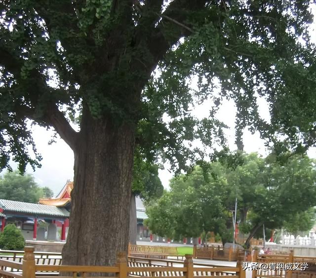 沂山，中国第一镇山