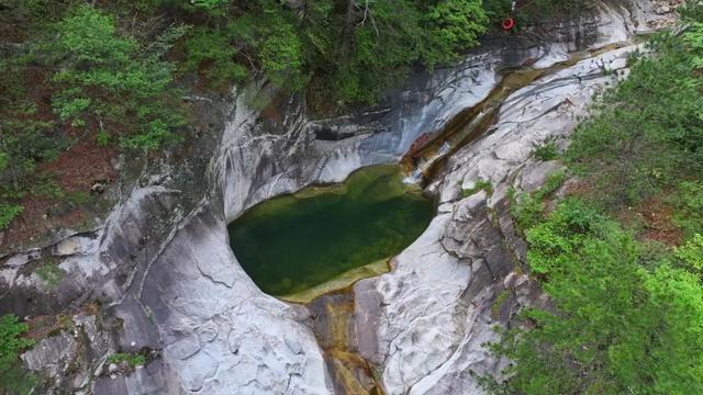 佛坪晚夏寻凉意，猫进秦岭躲避“秋老虎”！