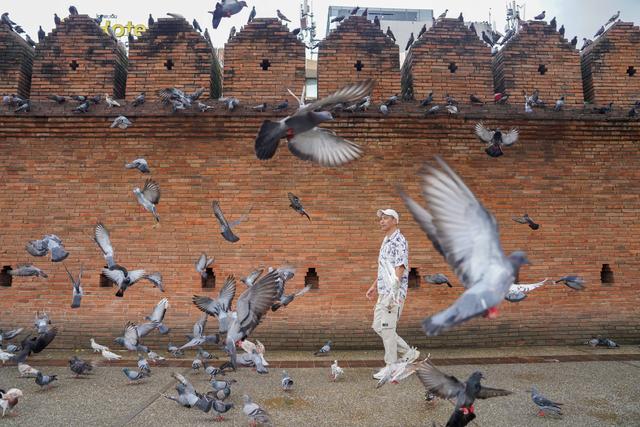 清迈住进当地人家，不用赶景点、不拼行程，把生活过得慢一点