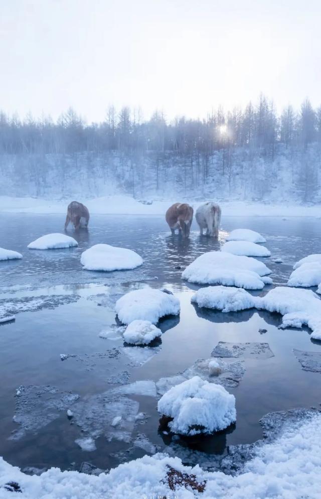 《疯狂动物城》之冰川镇竟撞脸呼伦湖！