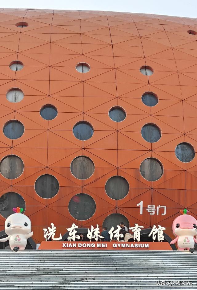 四会体育馆！千株格桑花盛放引万人打卡，全运会氛围藏着浪漫花海