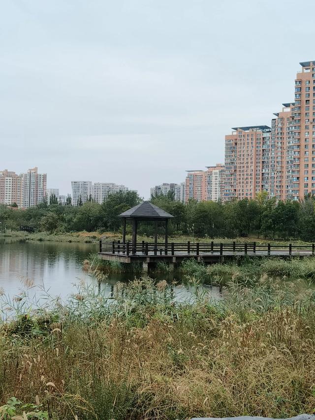 天津《梅江公园》