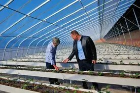 太原市晋源区：引入全市首家有机基质无土栽培模式图片