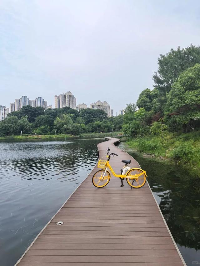 梅溪湖的正确打开方式，很多人都没体验过！