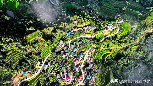 《西双版纳 澜沧行》左都佤山梯田云雾：天地间的水墨长卷