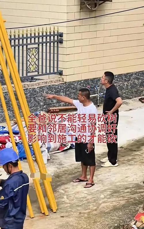 迈合村这事，新鲜！全村投票为全红婵家“让路”，她家反倒先摆手