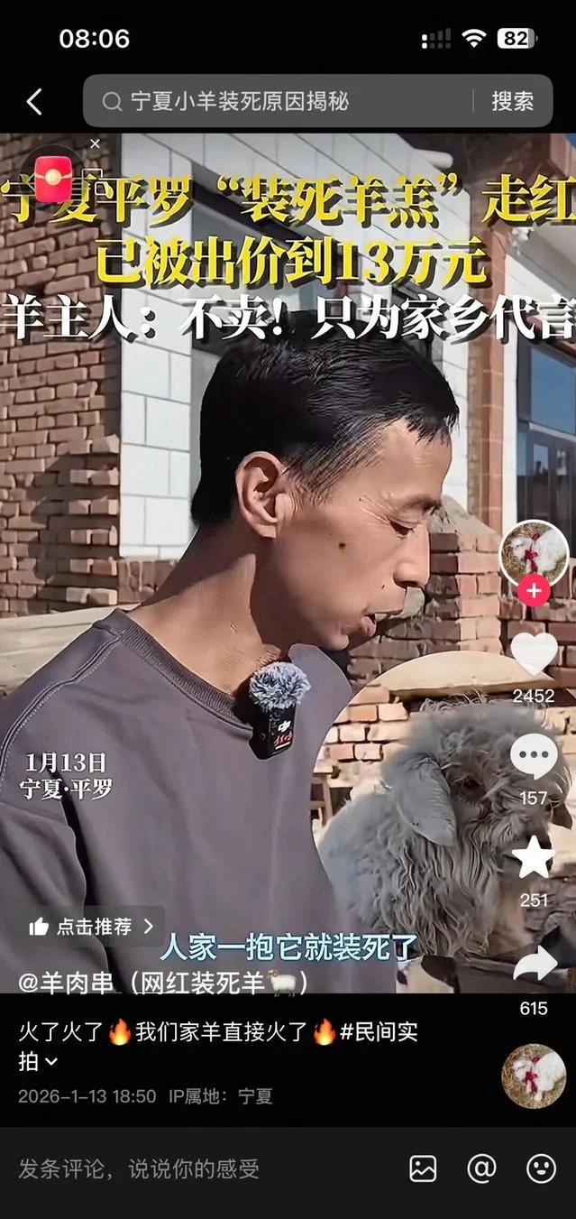 宁夏一小羊因装死走红	，有人出价13万购买，被羊主人拒绝