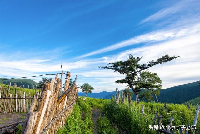 京津自驾六大避暑高山草甸精简攻略
