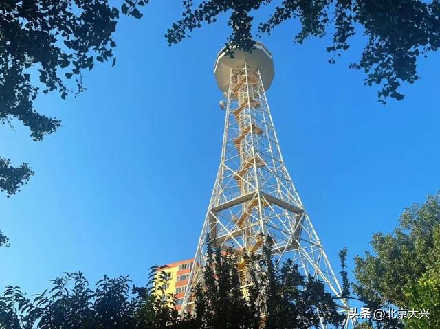 秋天来大兴！这波彩色 “多巴胺” 直接美到“心巴”上——
