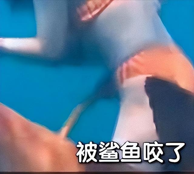 惊险！女子生理期潜水被鲨鱼咬伤，专家：血腥味有刺激