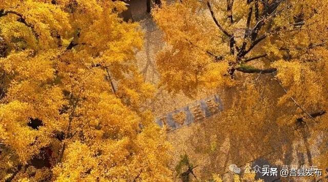 莒县：一座让你“毋忘”的宝藏小城