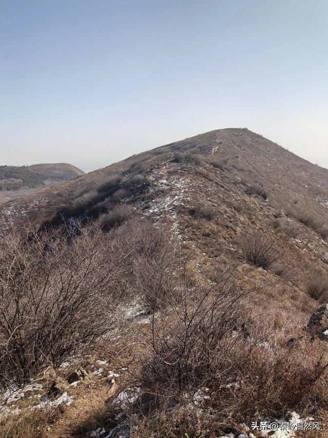 雪后初霁登顶嵯峨山，走荒野雪原，看千年悟空塔，感受历史的烟云