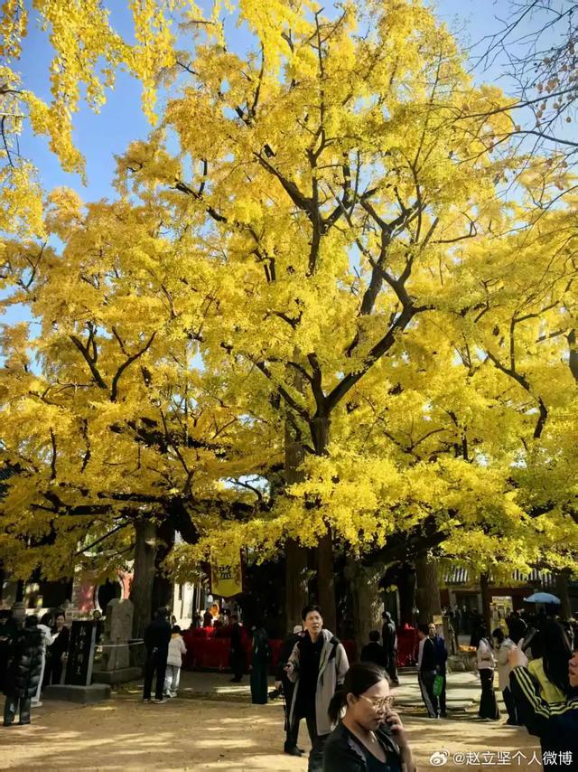 连发两篇!赵立坚推介日照这一美景:每一帧都是壁纸!