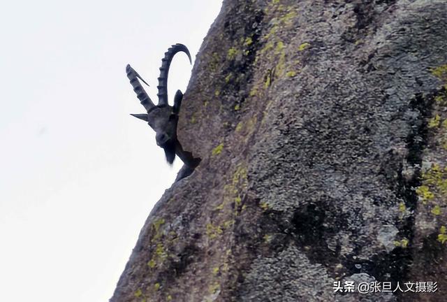 新疆怪石沟是中国西部巨大怪石群库之一 哈萨克人称神仙聚集的地方
