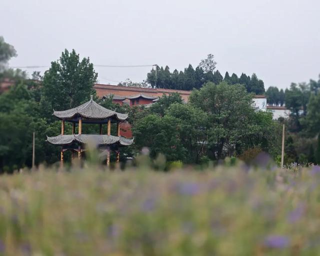 堪称洛阳第二寺，人少景美还免费，还藏着一处花海