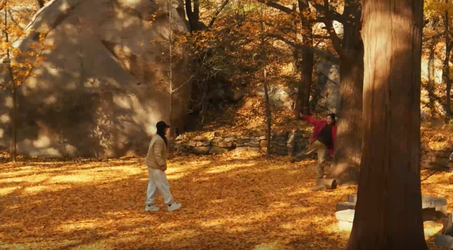 探平度：平度这里迎来最佳观赏期