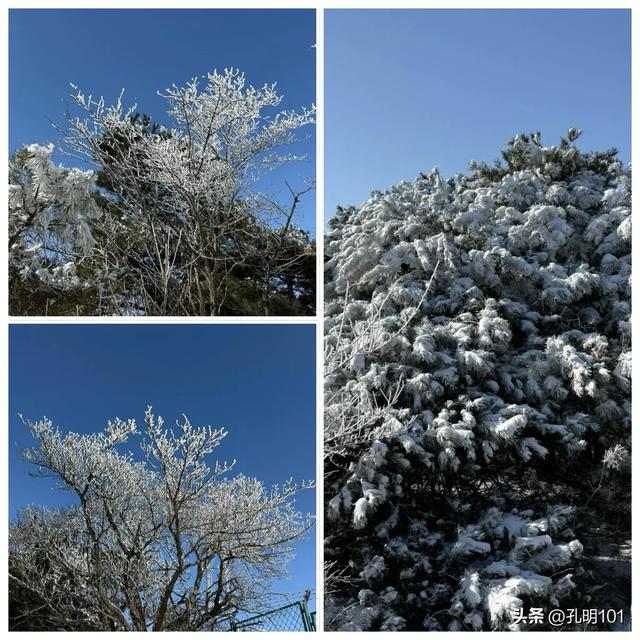 寒风瑟瑟雪世界~嵩山峻极峰赏雪记