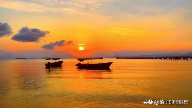 一张旧船票，从基隆到厦门，载着半个世纪沉甸甸的乡愁