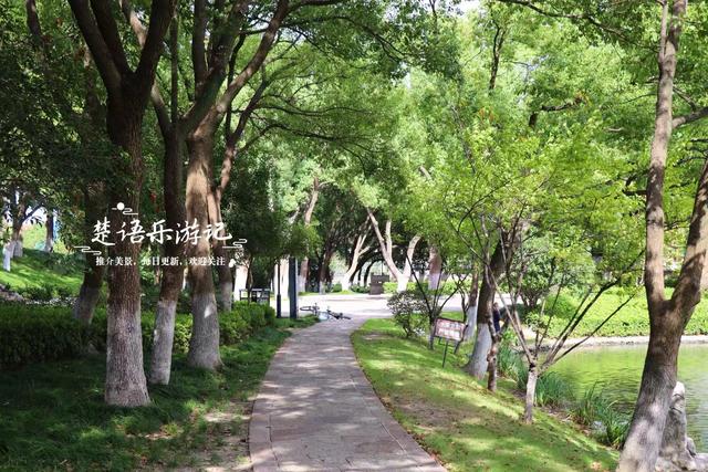 宁波镇海居然藏着一个小苏州园林，绿树掩映着亭台楼阁，值得游玩