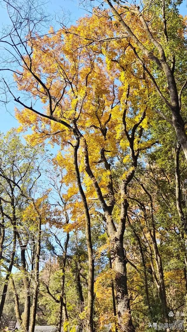 秋染浙西，邂逅烂柯仙境的绝美风光！