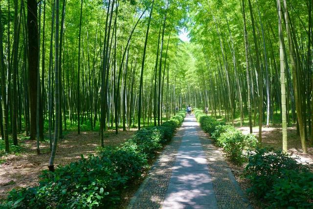 藏不住啦！杭州出发1h左右，杭州周边这6个避暑宝藏地太绝了！