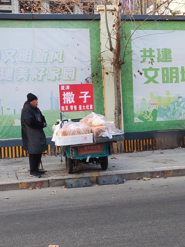 记录德州：逛德州城南邹李早市，你来过吗