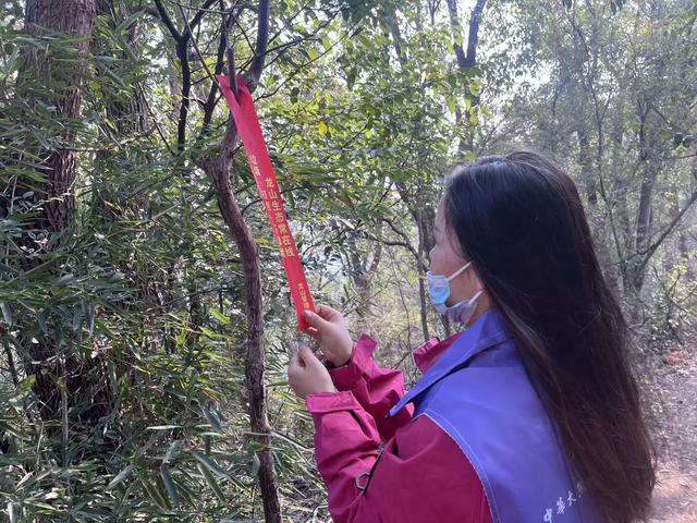 龙山管理处：徒步赏景护生态 文明实践暖龙山