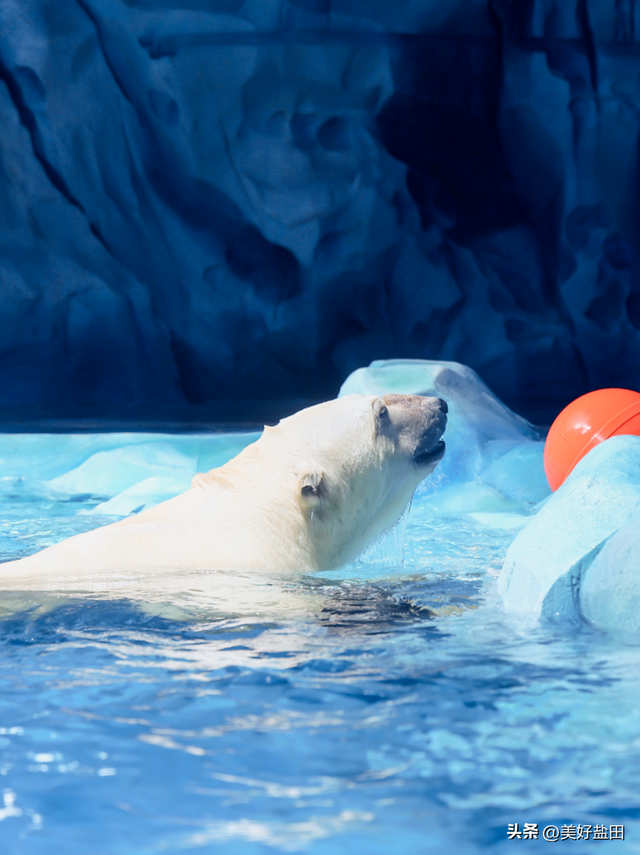 反向旅游，你不知道深圳的海有多绝