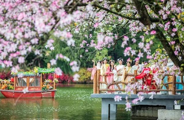 绝美！肇庆梦幻花海带旺全城！