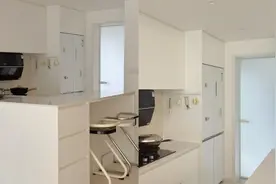 零嵌、平嵌、全嵌，都是“嵌入式冰箱”，但一字之差区别巨大图片