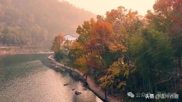 收好这份温州《红枫古道地图》,挑个好天气出门走走!